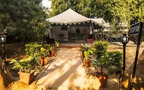 Tiger Machan Resort